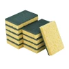 Sponge Scourers